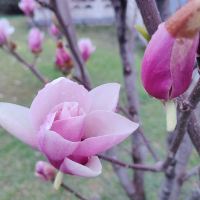 評論圖片 4