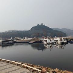 MonSon萌狮咖啡 User Photo