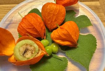 Kikunoi Honten User Photo