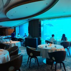 OSSIANO UNDERWATER RESTAURANT & BAR User Photo