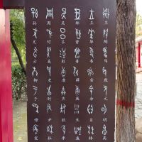 評論圖片 9