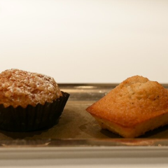 Les Saisons User Photo