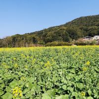 評論圖片 7