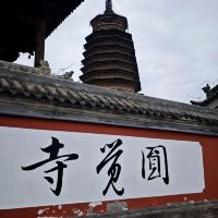 評論圖片 3