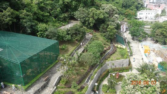 西望洋山，俗称&ldquo;主教山&rdquo;，坐落山顶的