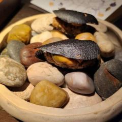 TURK Fatih Tutak User Photo