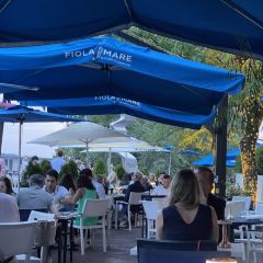 Fiola Mare User Photo