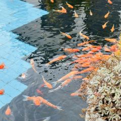 畔山璞院 User Photo