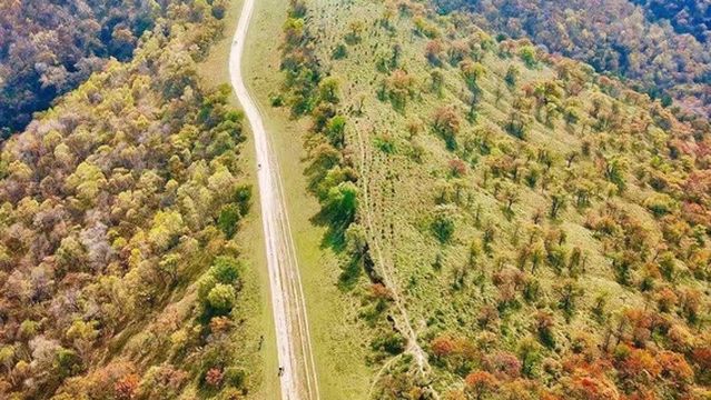 fu xian qin zhi dao yi zhi