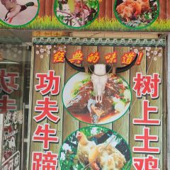 树上土鸡 User Photo