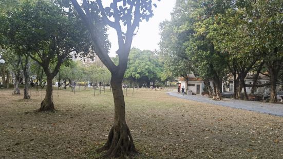 荔枝公园- 位置：深圳市福田区红岭中路1001号。- 开放时