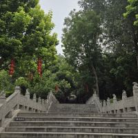 評論圖片 3