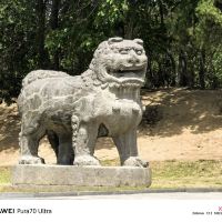 評論圖片 8