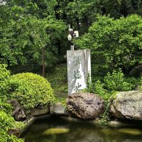 評論圖片 2