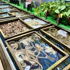 日月明海鲜坊·大连海鲜(延安路店) 여행 사진