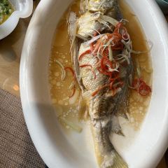 春秋十里 User Photo