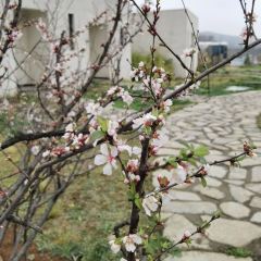 云台山溪山山居美学园·隐山肴·山农美学餐厅 User Photo