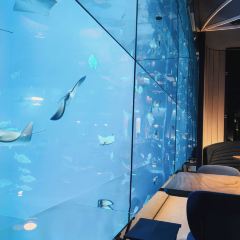 Ocean Restaurant User Photo