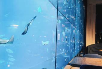 Ocean Restaurant user photo