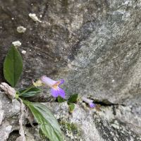 評論圖片 9