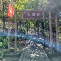 評論圖片 2