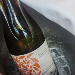 Ober Mamma張用戶圖片