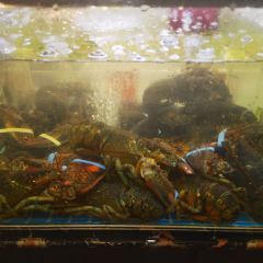 金海湾海鲜排档(朱家尖店) User Photo