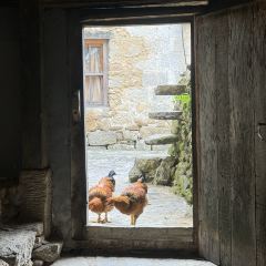 火塘咖啡 User Photo