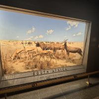 評論圖片 3
