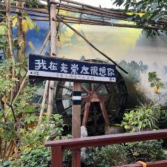 老崇左特色風味食館張用戶圖片