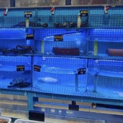 老太太海鮮城（森林公園任家台店）張用戶圖片