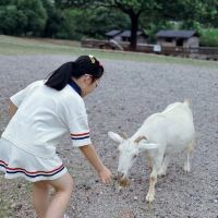 評論圖片 1