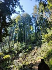 Sanborn County Park