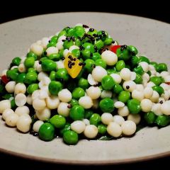 SUN PLANT User Photo