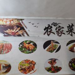 树上土鸡 User Photo