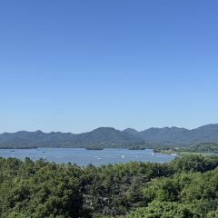 杭州温德姆至尊豪廷大酒店· 融合餐厅“食肆”餐厅 User Photo