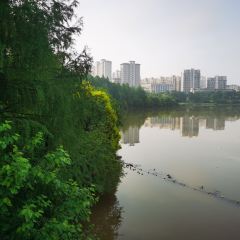 吉安庐陵东方宾馆·餐厅 User Photo