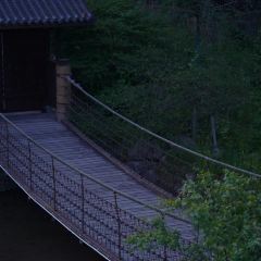 雅安元所·云峰桢里酒店·餐厅 User Photo