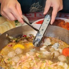 四川美味缘松茸野生菌汤 User Photo