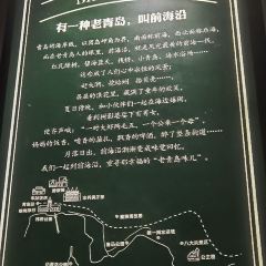 前海沿•老青岛家常菜(香港中路佳世客店) User Photo