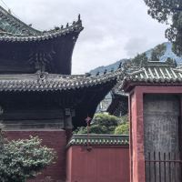 評論圖片 5