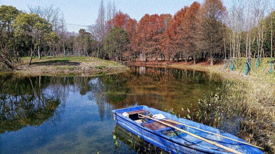 金海濕地公園，以秦家港為界，分為北區和南區。南區佔地面積約2