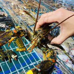 必点·海鲜酒店(灯塔店) User Photo