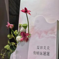 蔓生酒店(广安思源广场店)·瓦屋茶馆 User Photo