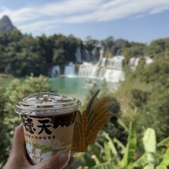 观瀑稻田咖啡时光集 User Photo