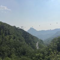 評論圖片 9