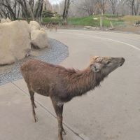 評論圖片 7