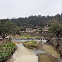 評論圖片 8