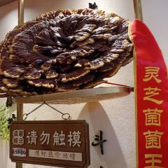 味道长·山珍馆(味道新城店) User Photo