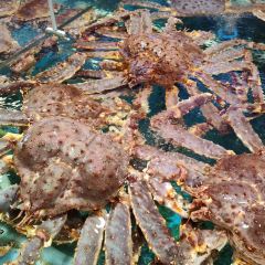 DaYang HaiXianCheng 여행 사진